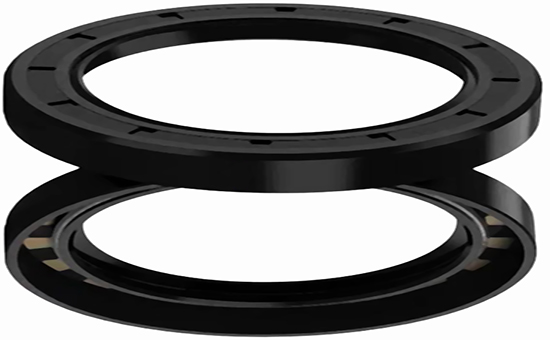 Rubber oil seal