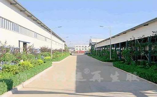 Hongyun reclaimed rubber factory int.